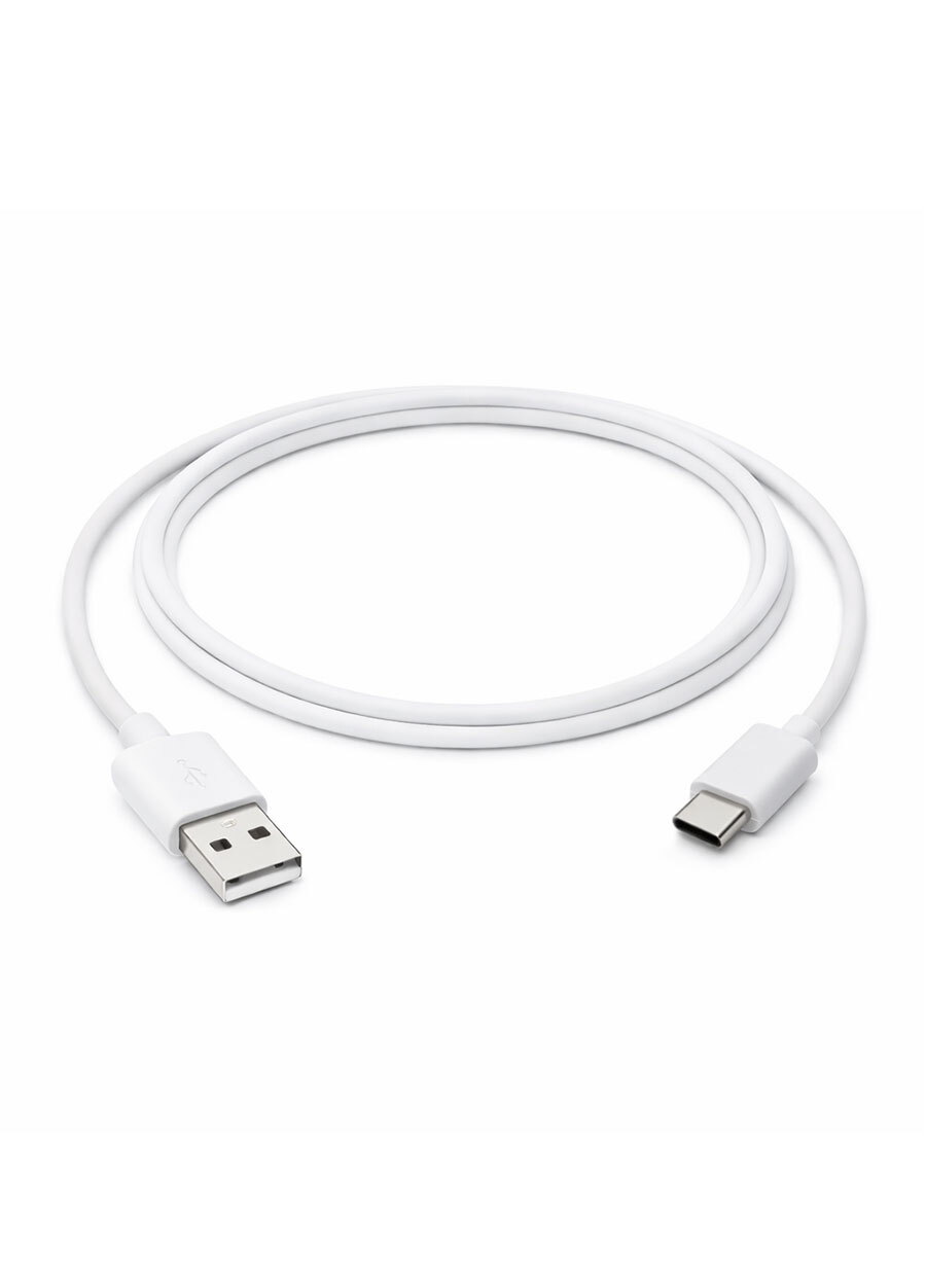 R1主機(附充電線)