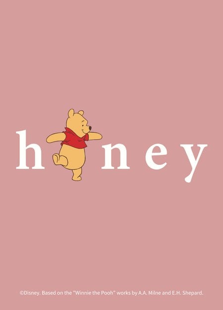 迪士尼維尼honey寬鬆孕哺上衣