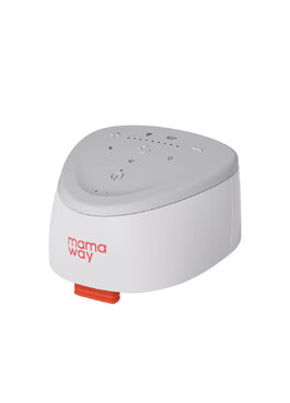 R3主機(附充電線) - 