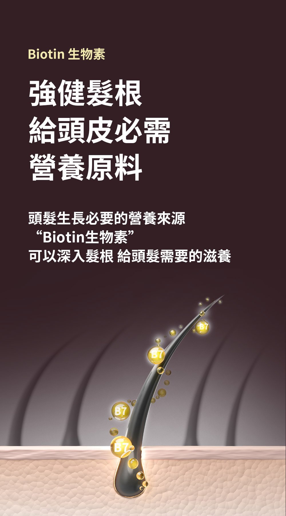 如你所願洗髮精