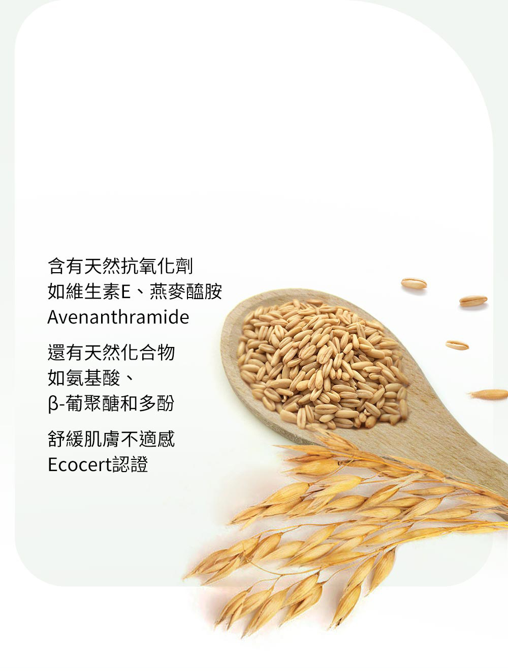 mamaway嬰兒洗髮沐浴慕斯