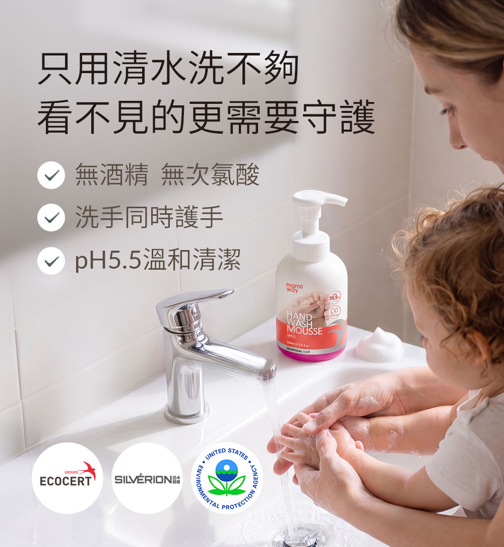 蘆薈抗菌洗手慕斯