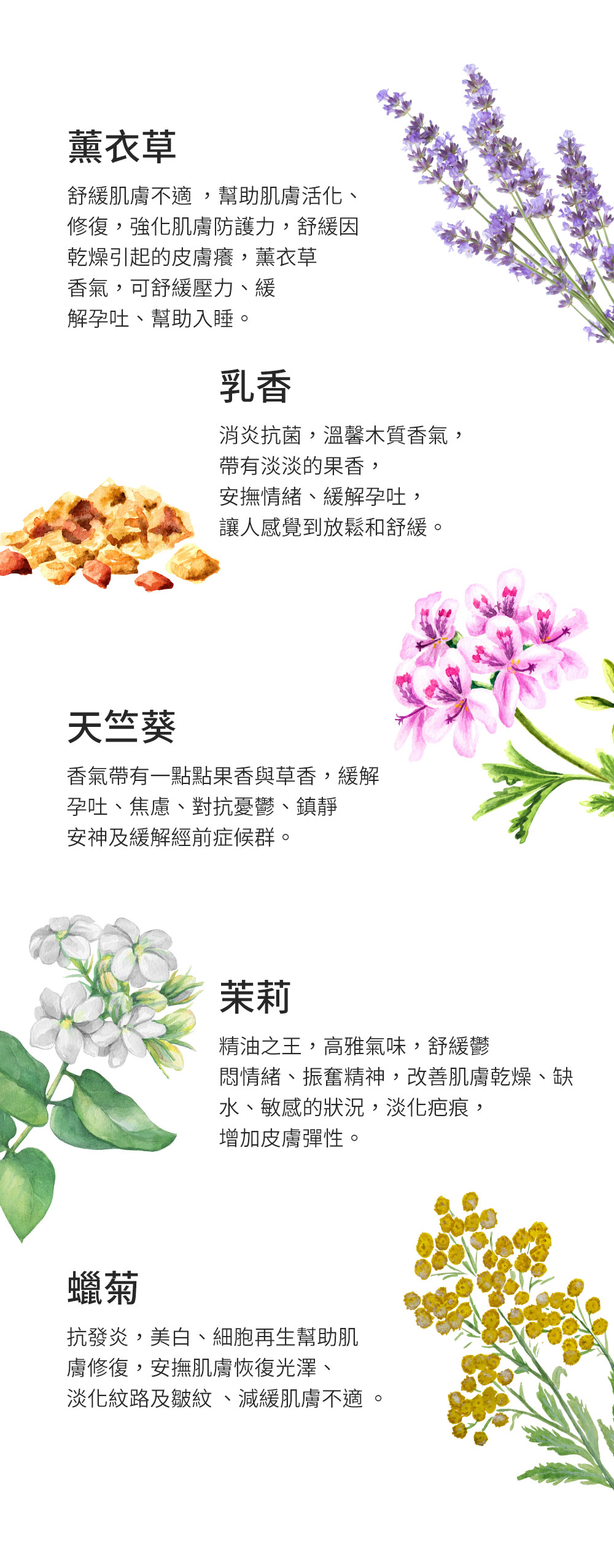 Mamaway彈力妊娠油