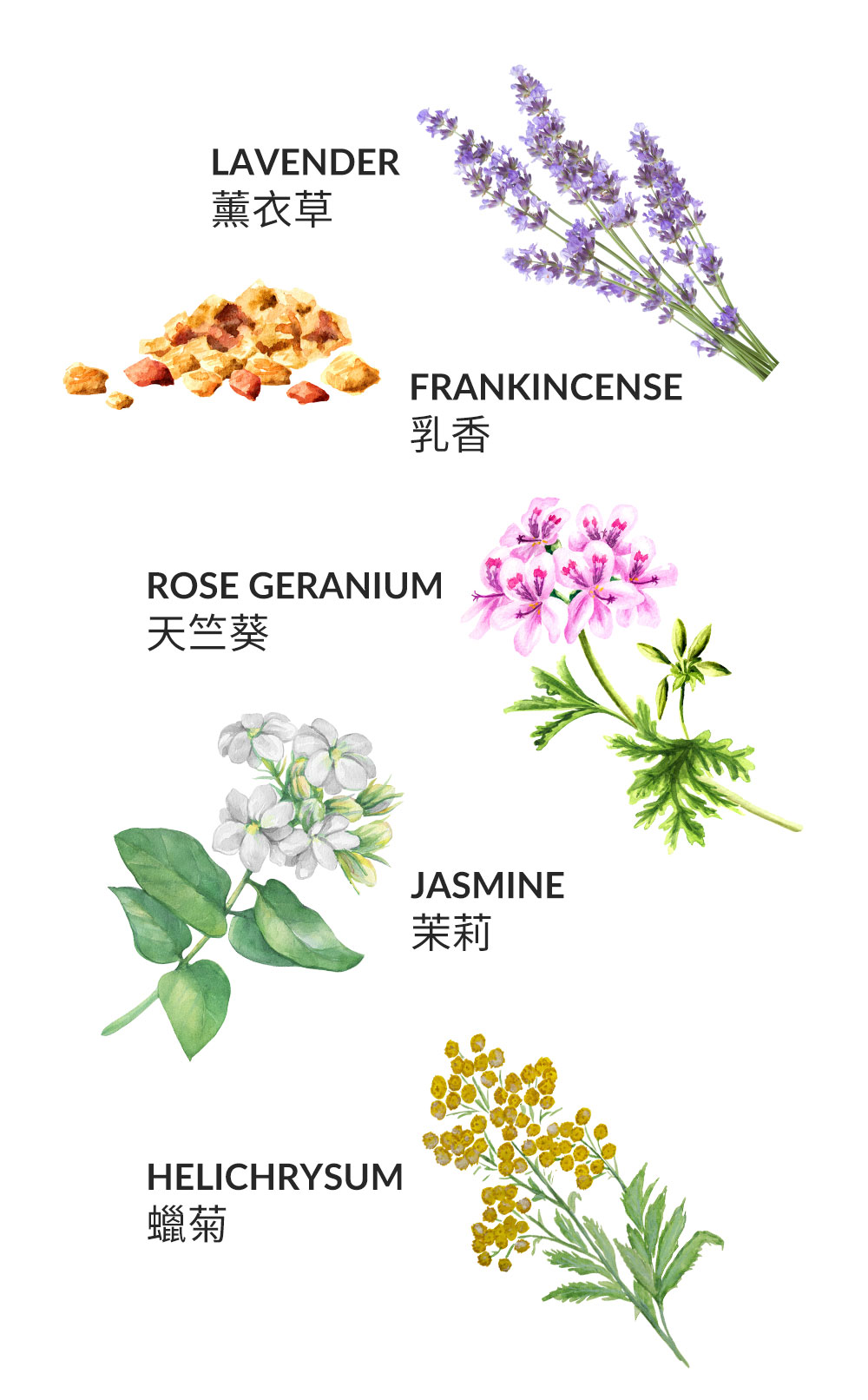 Mamaway彈力妊娠油